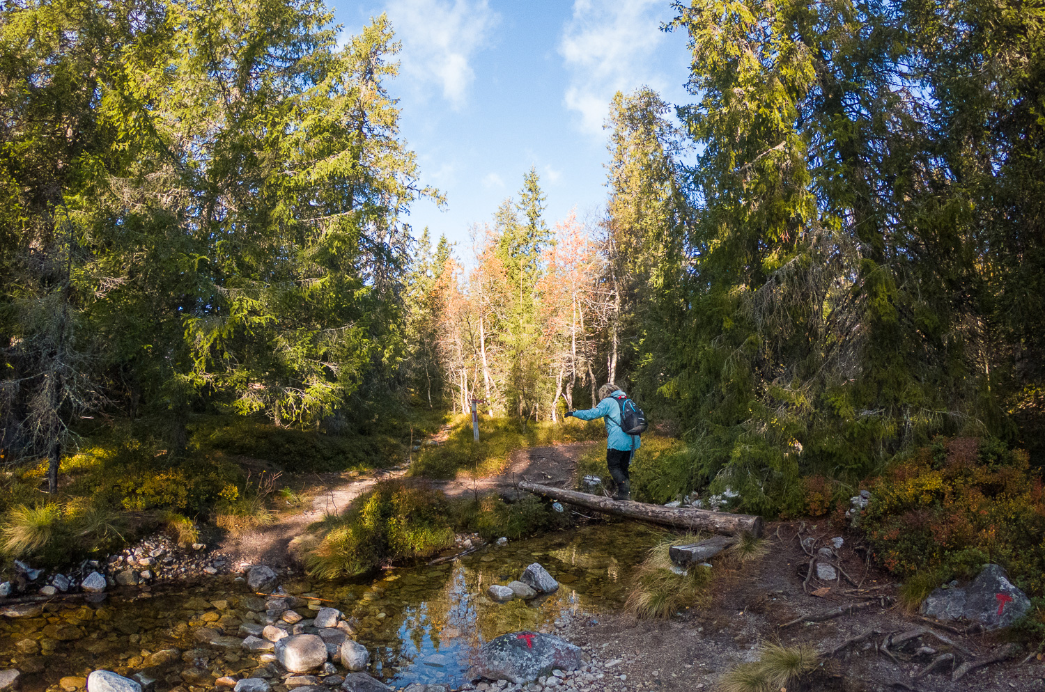 Til Bletoppen Med Nye Gopro Hero 7 Hamaca Reiseblogg